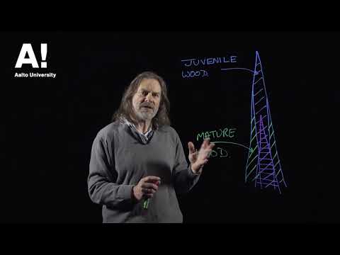 Thumbnail for Wood anatomy (5) Juvenile wood and heartwood by Aalto University - Wood Science