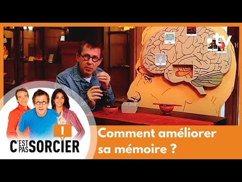 Thumbnail for Comment améliorer sa mémoire ? - C'est pas sorcier [Intégrale] by C'est pas sorcier