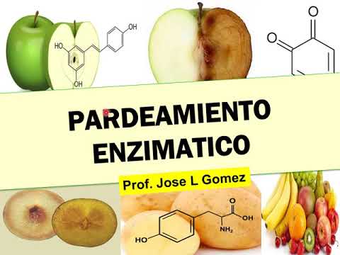 Thumbnail for BROMATOLOGIA: PARDEAMIENTO ENZIMATICO by Jose Lobo Gomez
