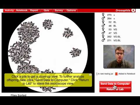 Thumbnail for Linked Genes by Bozeman Science