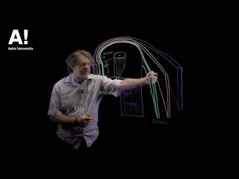 Thumbnail for Wood anatomy (9) Illustration of wood tissue by Aalto University - Wood Science