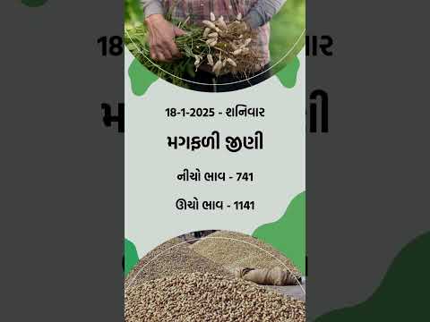Thumbnail for જીરું ના ભાવ | મગફળી ના ભાવ । કપાસ ના ભાવ । આજના બજાર ભાવ - ગોંડલ માર્કેટ યાર્ડ #trending by ગોંડલ માર્કેટ યાર્ડ APMC - Gondal Market Yard