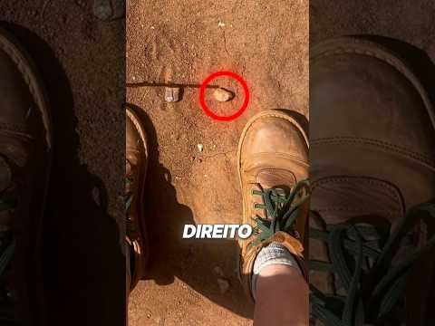 Thumbnail for Esse pode ser o único truque na natureza que vai realmente salvar sua vida! by abavocadu