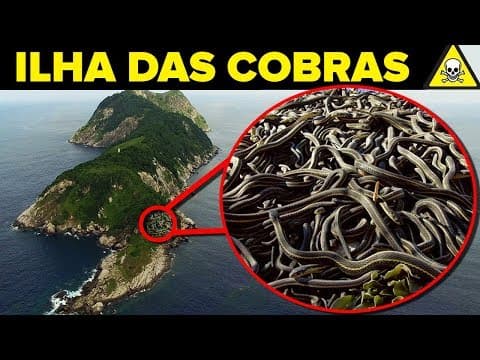 Thumbnail for Conheça a PERIGOSA Ilha das COBRAS by Você Sabia?