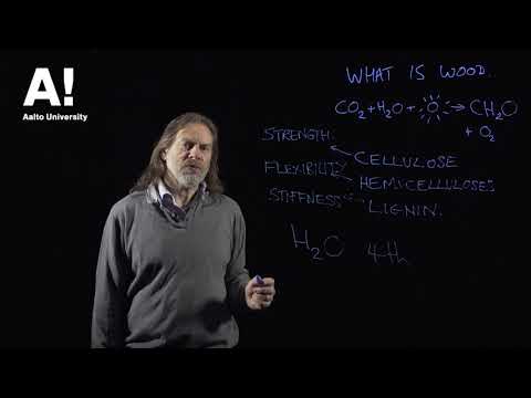 Thumbnail for What is Wood (1) Wood components by Aalto University - Wood Science