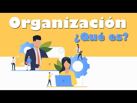 Thumbnail for ¿Qué es la Organización Administrativa? Proceso Administrativo by Conociendo Más
