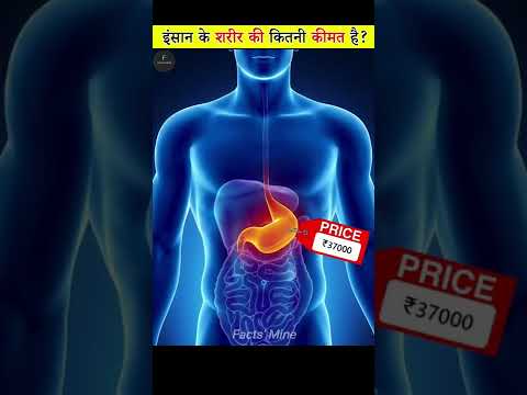 Thumbnail for एक इंसान की कीमत कितनी होती है? | How much is a Human Body worth? | Facts' Mine #shorts by Facts' Mine