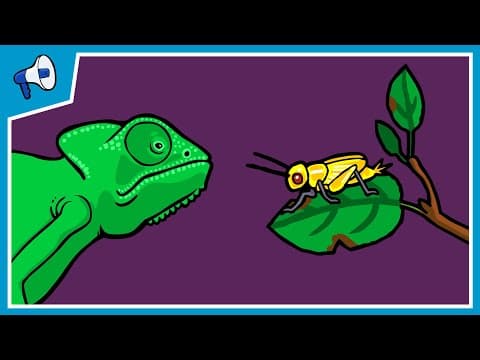 Thumbnail for What is Natural Selection? by Stated Clearly