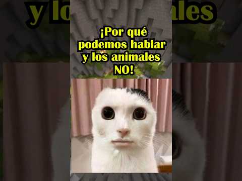 Thumbnail for ¿El ORIGEN del LENGUAJE? by Icma 