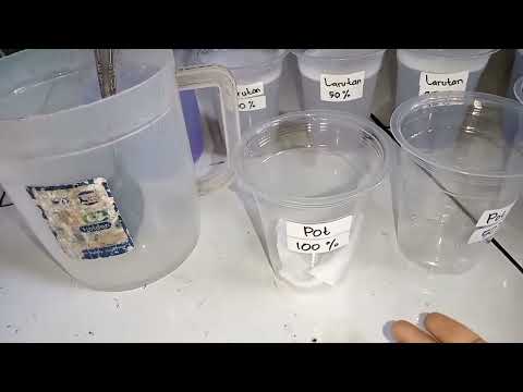 Thumbnail for VIDEO PRAKTIKUM BIMBINGAN - MAKHLUK HIDUP DAN LINGKUNGANNYA ( PENGARUH DETERJEN PADA PERKECAMBAHAN) by Linda Noviani