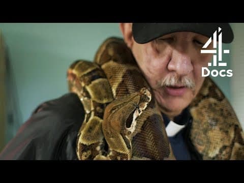 Thumbnail for Service Animals You've Not Seen Before: Snake, Mini Horse & More by Channel 4 Documentaries