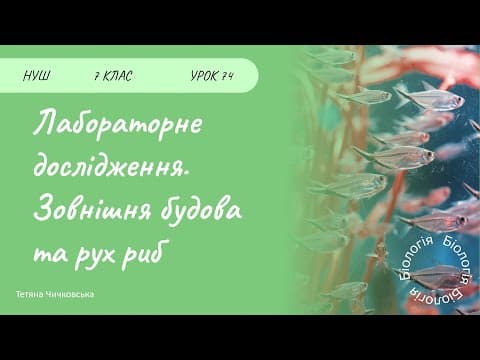 Thumbnail for Лабораторне дослідження. Зовнішня будова та рух риб by Tetiana Chychkovska