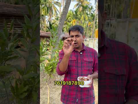 Thumbnail for Macadamia Farming in Kannada #harvarvardhan #harshavardhankannada by Vardhana Organics - Kannada