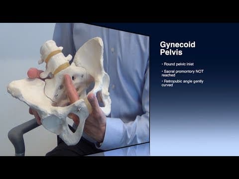 Thumbnail for Clinical Pelvimetry by Christopher Morosky