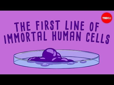 Thumbnail for The immortal cells of Henrietta Lacks - Robin Bulleri by TED-Ed