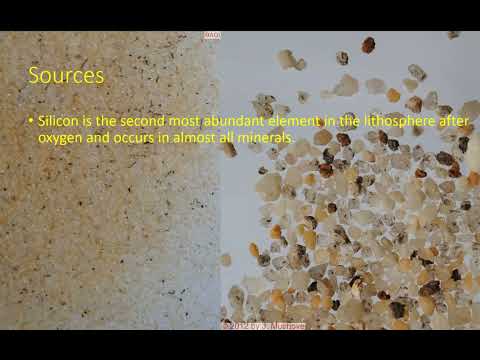 Thumbnail for Silicon as an essential element for plant growth. by Julia's Science Lab