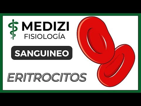 Thumbnail for Clase 32 Fisiología Sanguínea - Eritrocitos (IG:@doctor.paiva) by Medizi