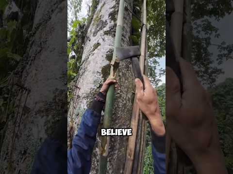 Thumbnail for One Slip = Death 😨 by Crazy Facts 