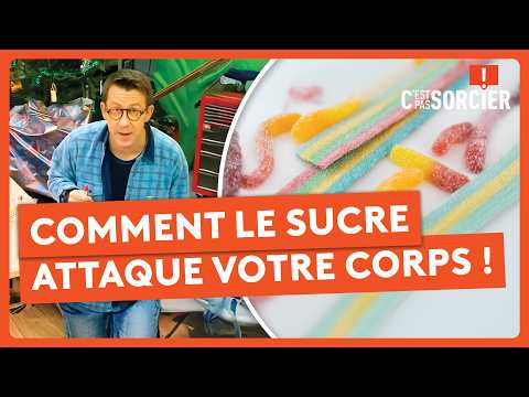 Thumbnail for Comment le sucre attaque votre corps ! - C’est pas sorcier by C'est pas sorcier