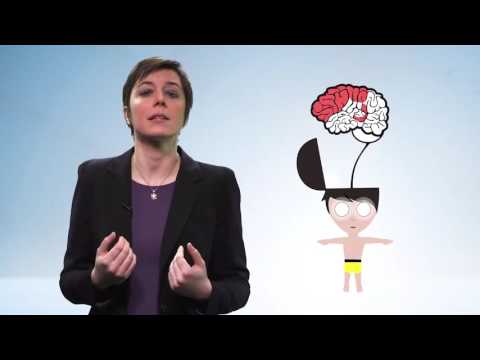 Thumbnail for Le sommeil et la mémoire by Observatoire B2V des Mémoires 