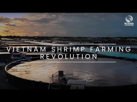 Thumbnail for RYNAN Aquaculture high-tech shrimp farming in Vietnam by RYNAN Aquaculture