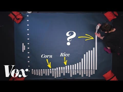 Thumbnail for Why beef is the worst food for the climate by Vox