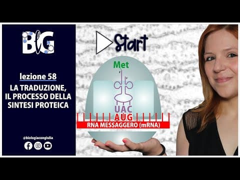 Thumbnail for La TRADUZIONE - il processo della SINTESI PROTEICA by Biologia con Giulia