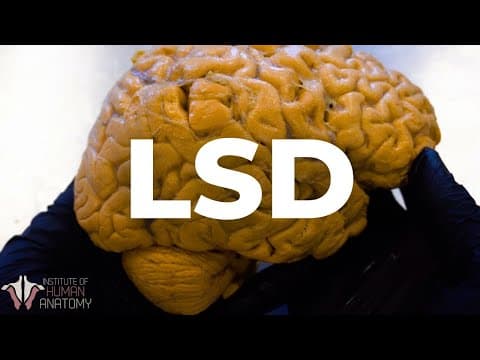 Thumbnail for Lo que el LSD le hace a TU cerebro... by Instituto de la Anatomía Humana