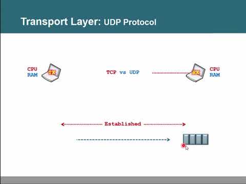 Thumbnail for Bài 3  Giao thức vận chuyển dữ liệu UDP và TCP by Quoc S Nguyen Huu