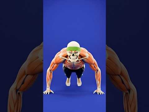 Thumbnail for Sirf 2 Minute Plank Roz 💪 Core & Posture Change 😳 | #facts #shorts #homeworkout #ytshorts #anatomy by Dr Doom
