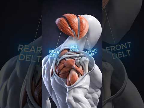 Thumbnail for Want complete shoulders with cables? by Fitonomy Coach