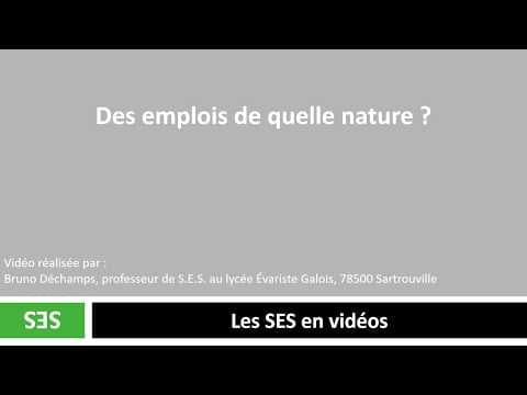 Thumbnail for Des emplois de quelle nature ? by Les SES en vidéos