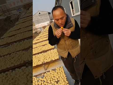 Thumbnail for Dad's funny food surprise 😜 Raw potatoes or eggs fruit? #ytshorts by A-Z Facts