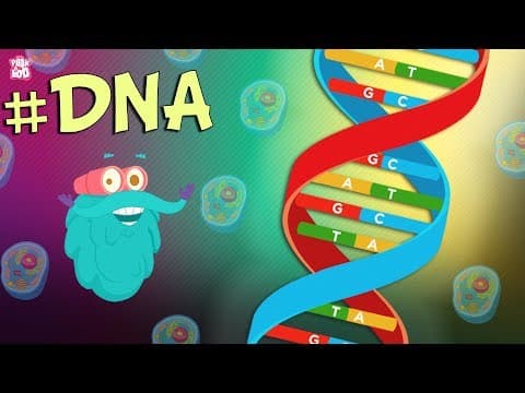 Thumbnail for What Is DNA? | The Dr. Binocs Show - Best Learning Videos For Kids | Peekaboo Kidz by Peekaboo Kidz