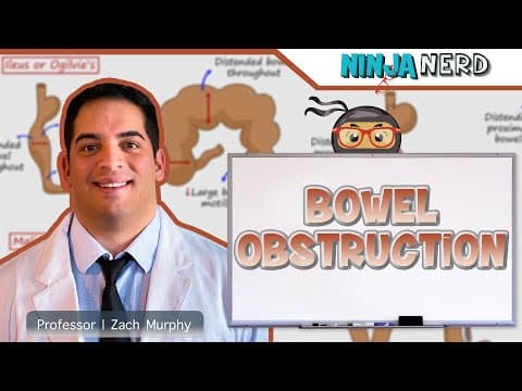 Thumbnail for Bowel Obstruction | Clinical Medicine by Ninja Nerd