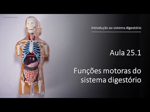 Thumbnail for Videoaula 25.1 Funções motoras do sistema digestório by MK Fisiologia
