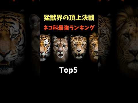Thumbnail for 猫科最強ランキングトップ5がヤバすぎる！ by 命知らずの動物図鑑