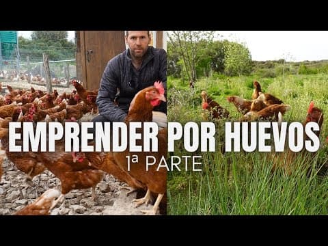 Thumbnail for EMPRENDER POR HUEVOS | 1ª Parte by El sembrador