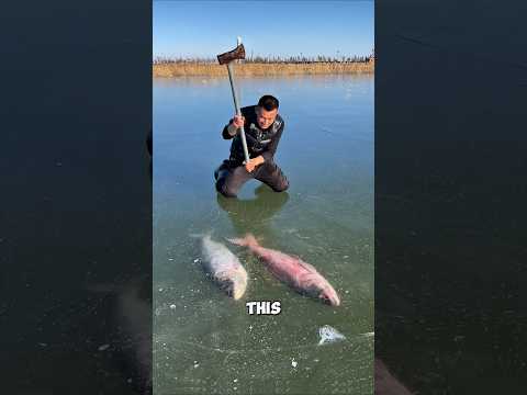 Thumbnail for How Siberians Catch Fish Under Ice 😱 by Global Stories 