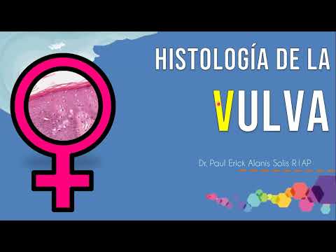 Thumbnail for Histología avanzada de la vulva by Dr. Paul Erick Alanís Solís