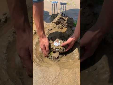 Thumbnail for ek baccha samundar kinare khel raha tha. #shorts #motivation by Facts Spotted