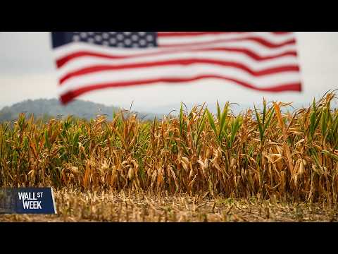 Thumbnail for Iran War Sends Shockwaves From Energy Markets to Global Food Supply by Bloomberg Television