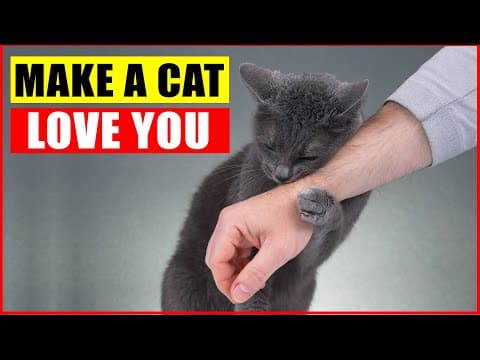 Thumbnail for 10 Scientific Ways to Get a Cat to Like You by Jaw-Dropping Facts