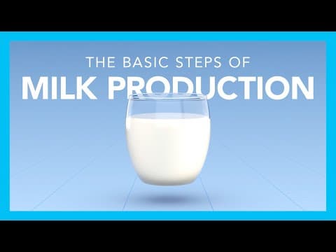 Thumbnail for The basic steps of milk production by Tetra Pak