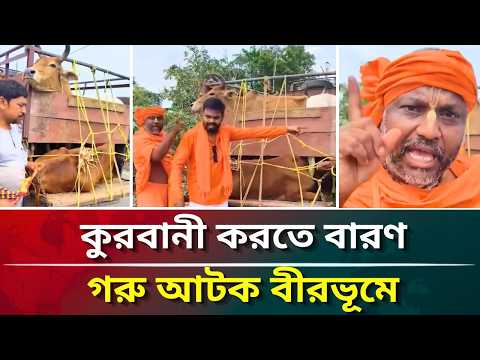 Thumbnail for কুরবানী করতে বারণ,গরু আটক বীরভূমে #puberkalom #today #news #video by Puber Kalom Digital Bangla