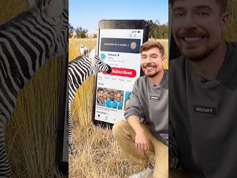 Thumbnail for Will a Zebra Subscribe to me? by MrBeast