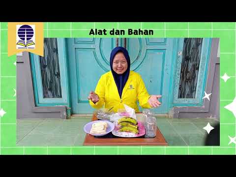 Thumbnail for Praktikum IPA di SD-Pertumbuhan Dan Perkembangan Hewan- Lalat Buah by Nurul Kurniati Vlog