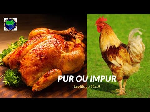 Thumbnail for La poule animal pur ou impur ? by LEVI'S MISSION TV
