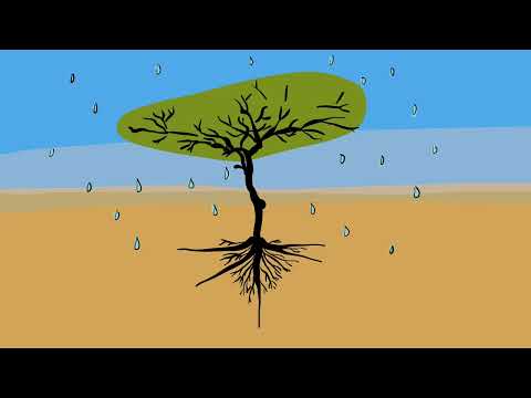 Thumbnail for Rethinking tipping points in ecosystems by Faculty of Geosciences Utrecht University