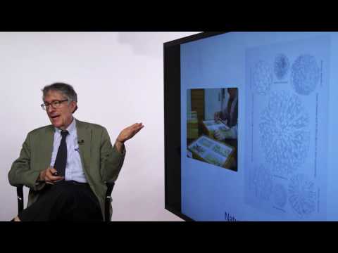 Thumbnail for Howard Gardner Discusses Multiple Intelligences - Blackboard BbWorld 2016 HD by Project Zero
